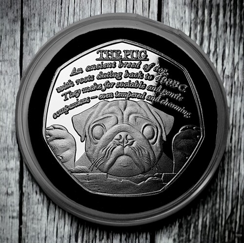 The pug silver commemorative - 'the, pug'