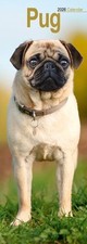 Pug 2026 Slim Wall Calendar