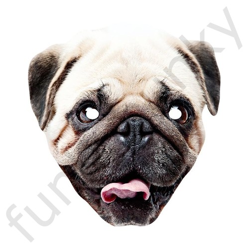 Pug dog animal celebrity card - dog,