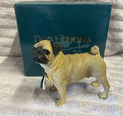 Leonardo tan brown pug cute - leonardo,