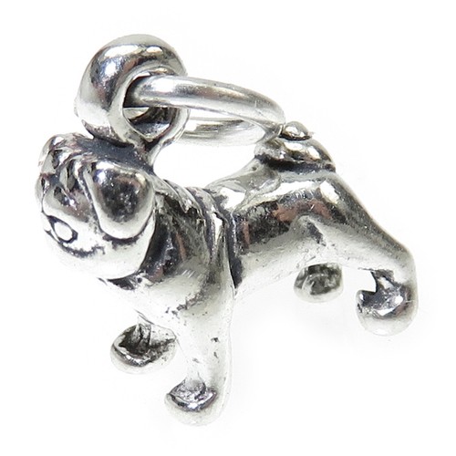Pug dog tiny - pug, sterling