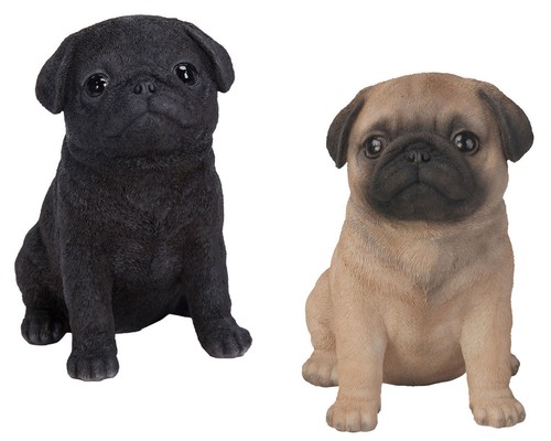 Pug puppy dog lifelike - puppy,