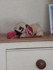 🐾🐾Plush Pug Holding