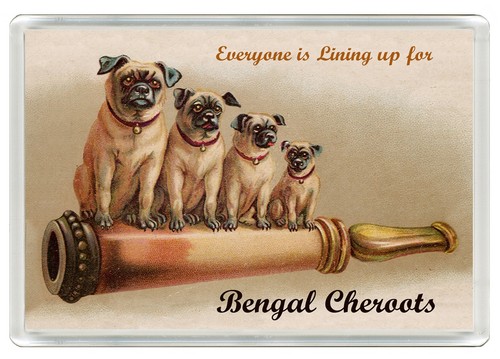 Pug dog fridge magnet - dog, great