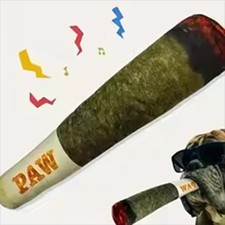 Raw Squeaky Dog Toy Spliff