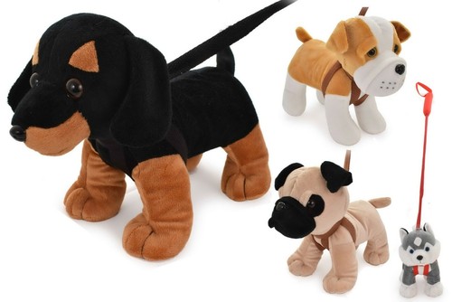 Standing dogs lead - standing, on