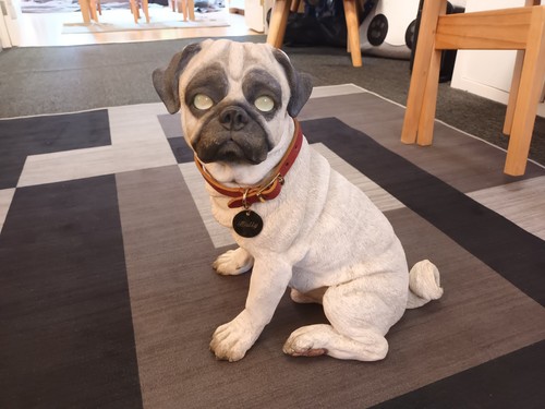 Pug puppy country artists top - puppy,
