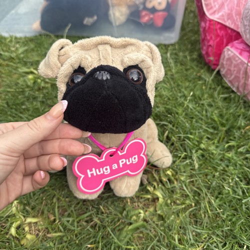 Hug pug teddy bear - teddy, soft
