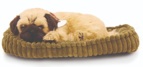 Precious petzzz pug - precious,