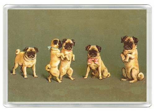 Pug dog fridge - fridge, great