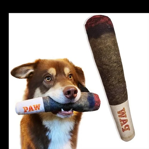 Raw squeaky dog toy - dog,