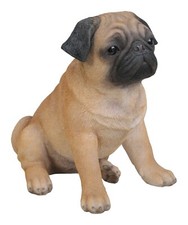 Sitting Pug Highly Detailed